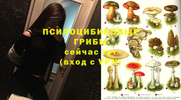 сатива Баксан