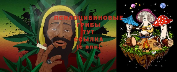 сатива Баксан