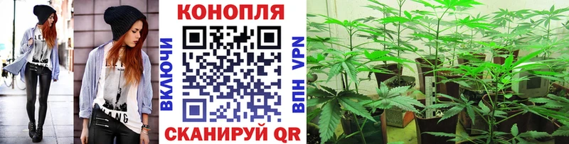 ссылка на мегу как зайти Нижняя Тура Шишки марихуана AK-47